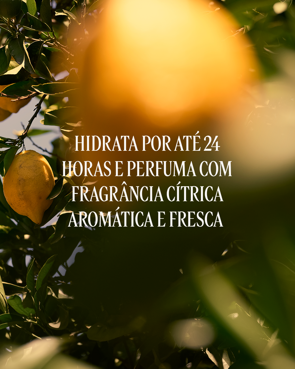 Lo&ccedil;&atilde;o Corporal Perfumada Verveine Agrumes 250mL (Verbena Citrus), , large